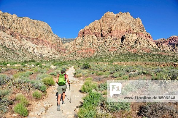 Female hiking Mount Wilson  Red Rock Canyon  Nevada  USA