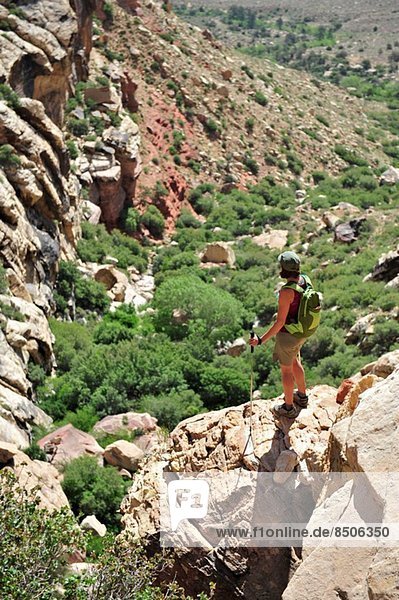Wanderin auf Felsen stehend  Mount Wilson  Red Rock Canyon  Nevada  USA