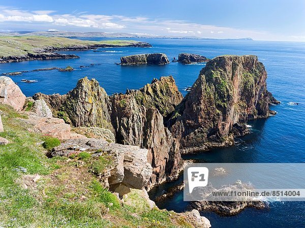 zwischen inmitten mitten Europa Großbritannien Steilküste Hintergrund Shetlandinseln Mai Schottland Süden