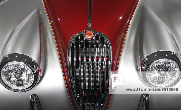 Jaguar Panthera onca Tradition Auto Retro frontal Grill Klassisches Konzert Klassik Jaguar