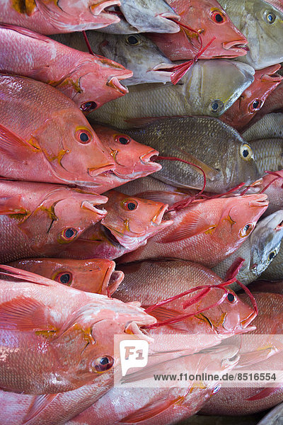Fische auf dem Fischmarkt  Victoria  Mahe  Seychellen