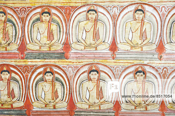 Colourful wall painting  fresco  many Buddhas meditating  Dhyana Mudra  Maharaja-Iena cave  Buddhist cave temple of Dambulla  Golden Temple of Dambulla  Central Province  Sri Lanka