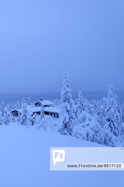 Blockhaus bedecken Landschaft Finnischer Lapphund Finnland Lappland Schnee