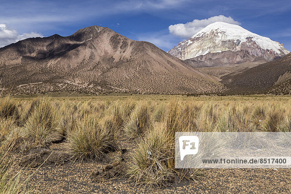 Sajama Volcano  Sajama National Park  Altiplano Highlands  Bolivia