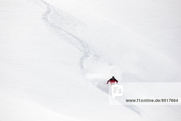 Skifahrer fährt im Tiefschnee  Hochfügen  Zillertal  Tirol  Österreich