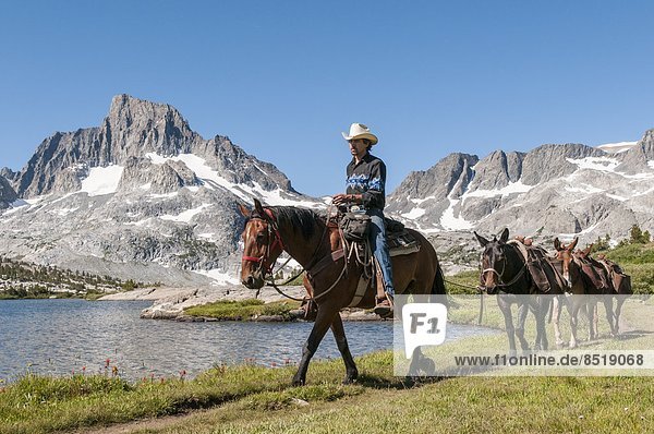 Horse paker leads pack train along lake with mountain in background