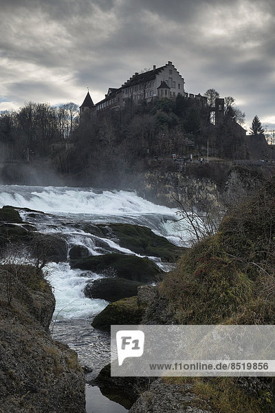 Schweiz  Kanton Schaffhausen  ßBlick auf den Rheinfall mit Schloss Laufen