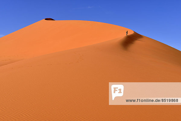 Algerien,  Sahara,  Tassili N'Ajjjer Nationalpark,  Tadrart,  Frau beim Wandern auf den Sanddünen von Tin Merzouga