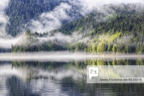 Canada  British Columbia  Khutzeymateen ßalley  Khutzeymateen Proßincial Park  fjord with fog