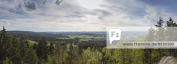 Deutschland  Baßaria  Fichtelgebirge  auf dem Gipfel des Waldsteingebirges