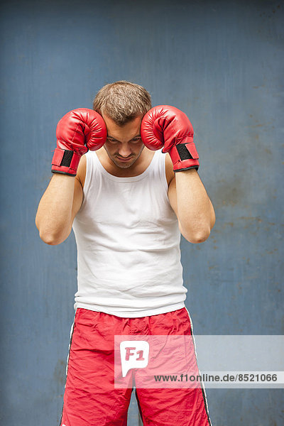 Boxer with red boxing gloßes