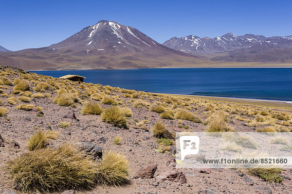 South America  Chile  Atacama Desert  Laguna Miscanti  in the background Andes