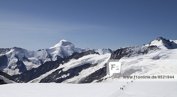 Schweiz  Berner Oberland  Aletschgletscher  Blick auf das Aletschhorn