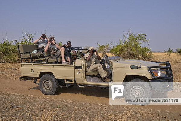 Tourists in a safari vehicle  Nsefu Sector  South Luangwa National Park  Zambia
