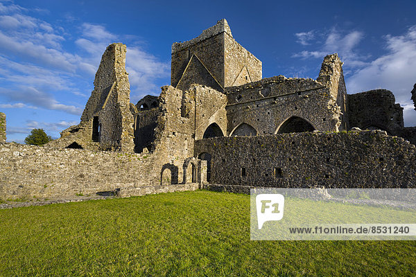 Hore Abbey  Cashel  County Tipperary  Irland