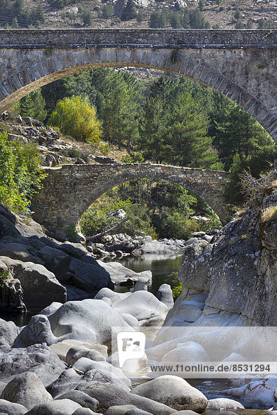 Ponte Alto  Alto-Brücke über den Golo-Fluss  Albertacce  Haute-Corse  Korsika  Frankreich