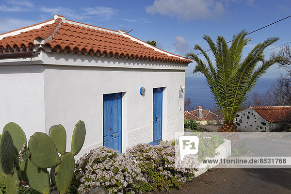 Blume Wohnhaus klein Pflanze Kanaren Kanarische Inseln La Palma Spanien