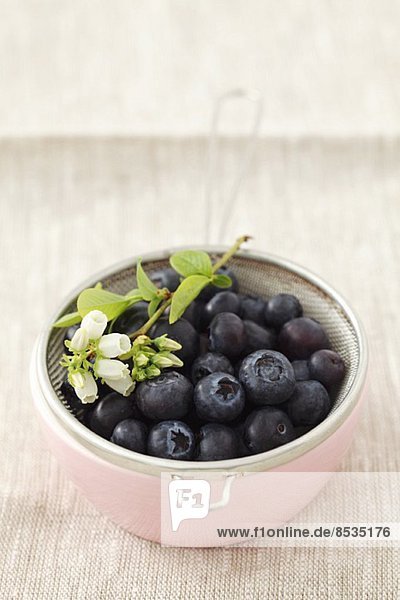 Blueberries in a sieve in a bowl