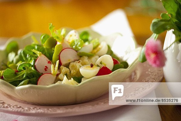 Salat bunt