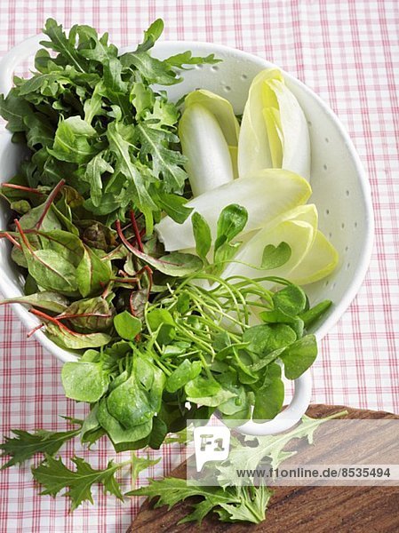 Verschiedene frische Salate im Küchensieb
