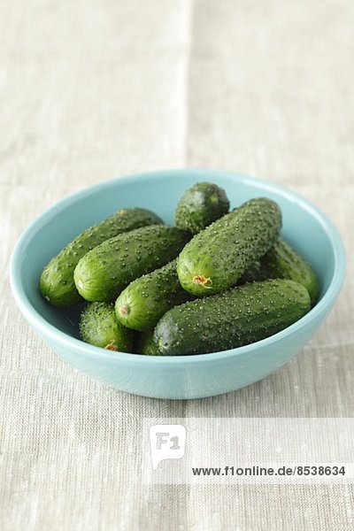 Several pickling cucumbers in a pale blue bowl