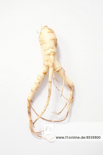 Fresh ginseng root