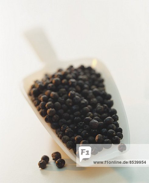 Juniper berries in a plastic scoop