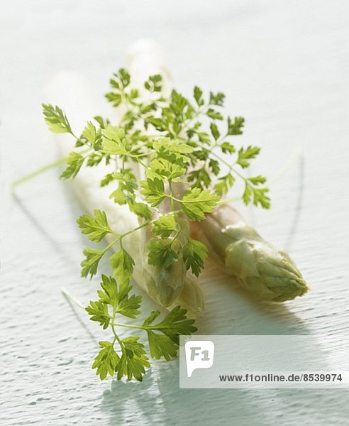 White asparagus and fresh chervel