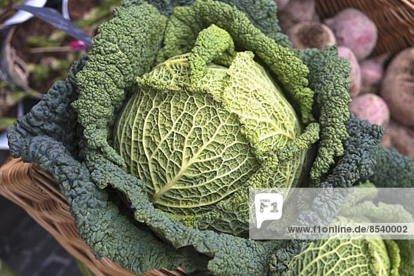 Savoy cabbage in a basket at the market