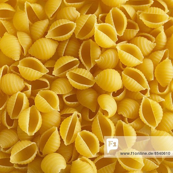 Pasta shells (filling the image)