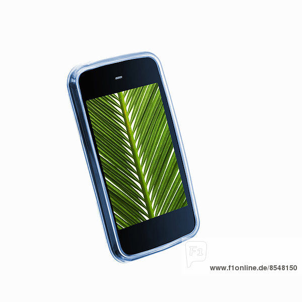 Ein kleines tragbares Kommunikationsgerät oder Telefon mit einem grünen Palmblattbild auf dem Bildschirm.