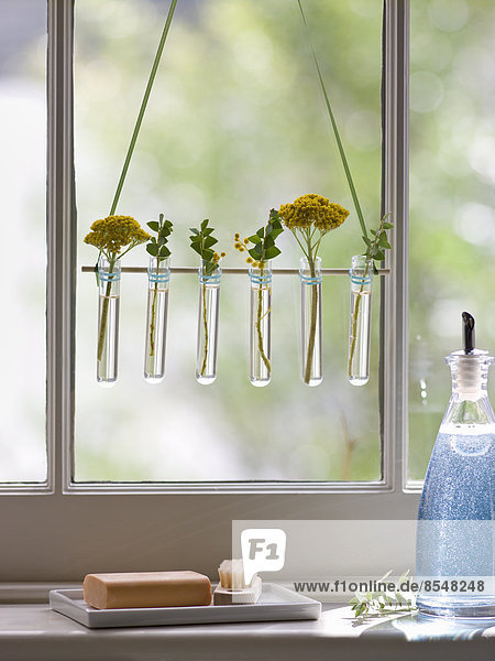 A row of small glass vases hanging in a window.