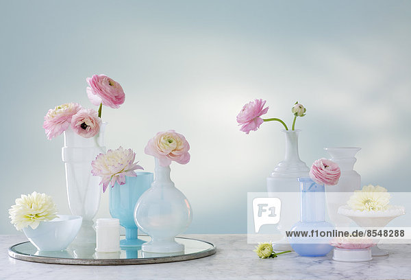 A group of containers  jugs and vases with a variety of pastel coloured delicate flowers. Studio shot.