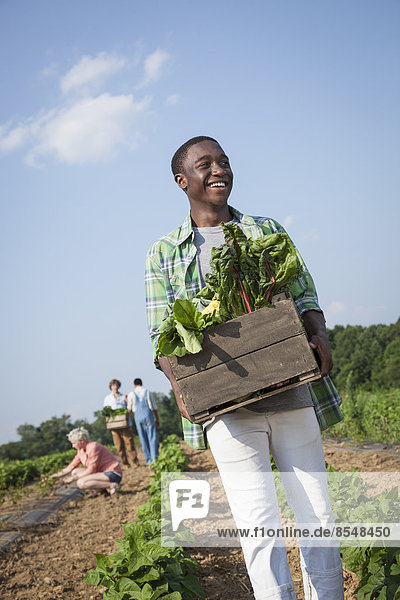 Ein Junge hält eine große Holzkiste mit frischem Gemüse  das auf den Feldern geerntet wurde.