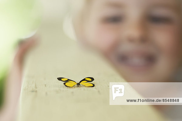 A child examining a butterfly  which has landed close by.