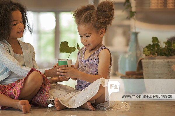 Two young girls sitting on a tabletop  holding a pot with a seedling and leaf shoot.