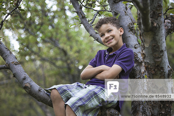 A boy sitting in a tree with arms folded.