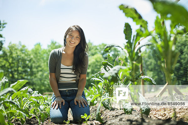 Eine junge Frau auf einem traditionellen Bauernhof auf dem Land im Staat New York  USA