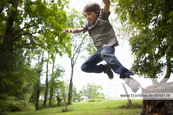 A boy leaping from a swinging rope in the woods.