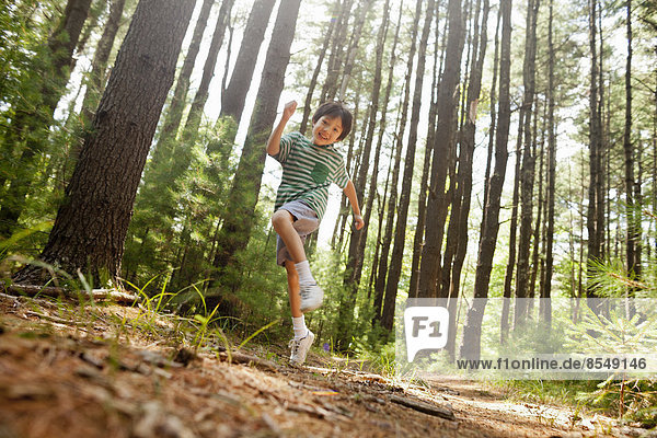 A young boy playing in the pine forest  surrounded by tall straight tree trunks.