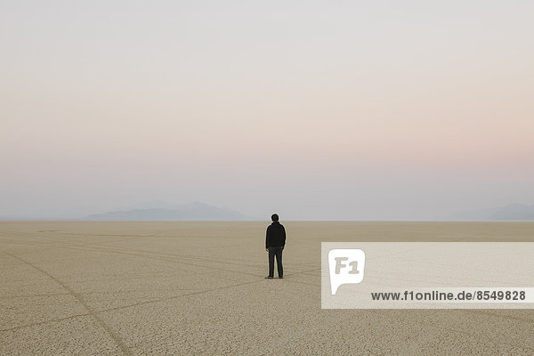 Man standing in vast  desert landscape