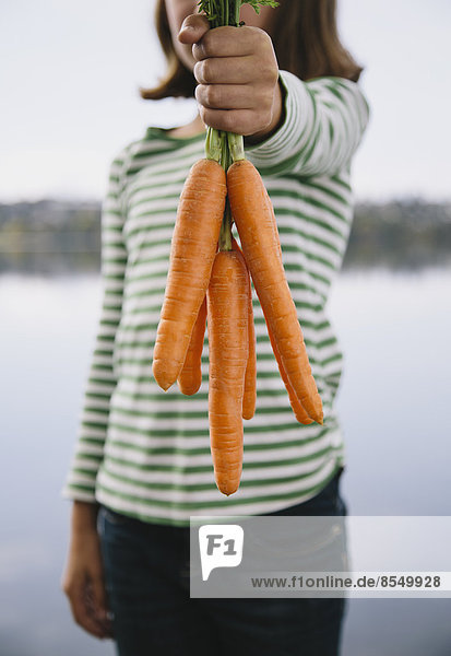 Neunjähriges Mädchen mit Bio-Karotten