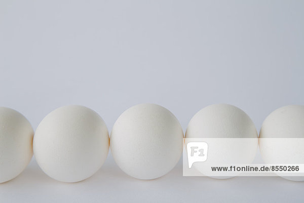 Endansicht der Freilandhaltung  Bio-Eier mit weißen Schalen in einer Reihe angeordnet  auf weißem Hintergrund.