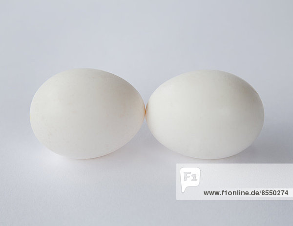 Zwei Bio-Eier aus Freilandhaltung mit weißen Schalen  aneinandergereiht  vor einem weißen Hintergrund.