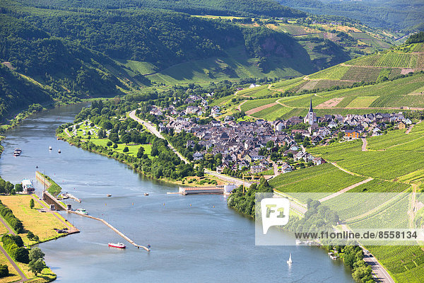 Die Mosel mit dem Ort Enkirch inmitten von Weinbergen  Bernkastel-Wittlich  Rheinland-Pfalz  Deutschland