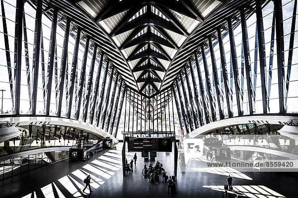 TGV-Bahnhof am Flughafen von Lyon  von Architekt Santiago Calatrava entworfen  Lyon  Rhône-Alpes  Frankreich