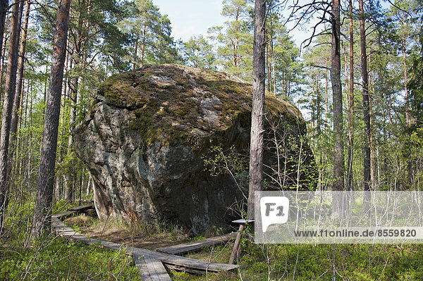 Majakivi boulder  Juminda Peninsula  Lahemaa National Park  Estonia  Baltic States