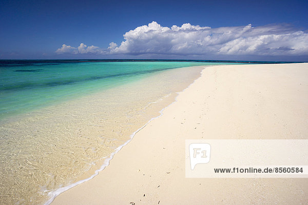 Secluded sandy beach  Denis Island  Seychelles  Indian Ocean