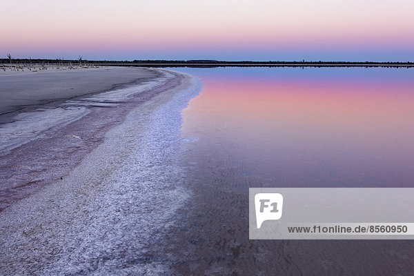 Lake Ninan  Salzsee  im Morgenlicht  Victoria Plains  Western Australia  Australien