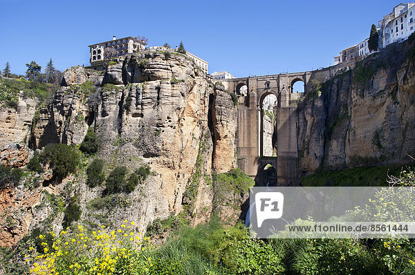 Puente Nuevo  Altstadt  Ronda  Provinz Malaga  Andalusien  Spanien